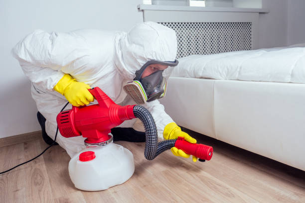 Best Real Estate Pest Inspections  in Waverly, OH